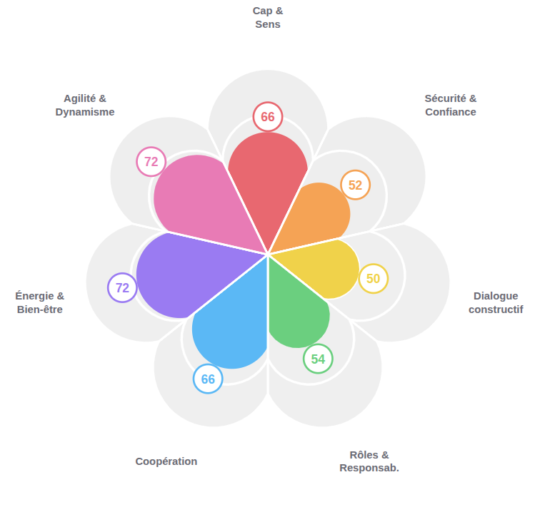 Schéma des sept dimensions évaluées par le diagnostic QCC®